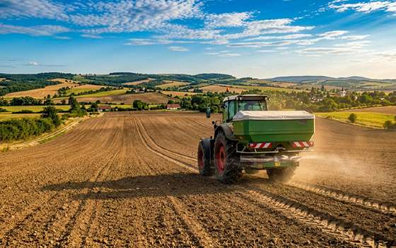 La concimazione di fondo è fondamentale nella coltivazione della colza